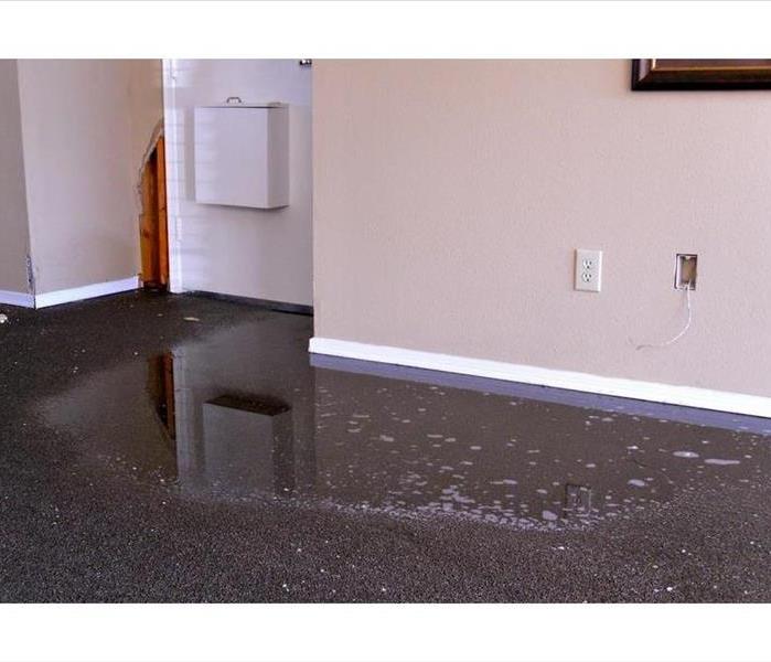 Standing water on carpet